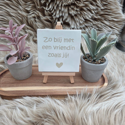 Robuust wenstegeltje:  Zo blij met een vriendin zoals jij!