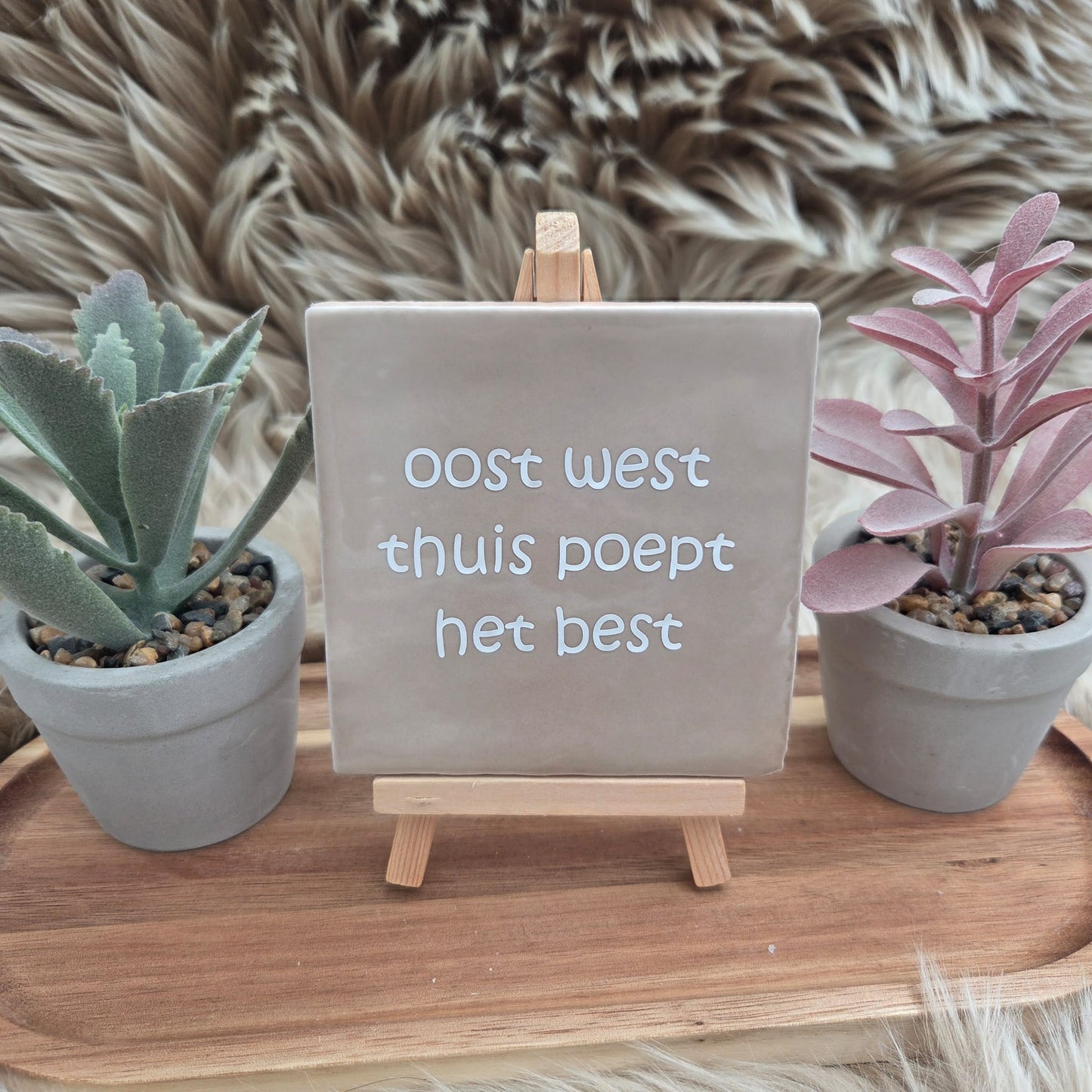 Robuust wenstegeltje:  oost west thuis poept het best