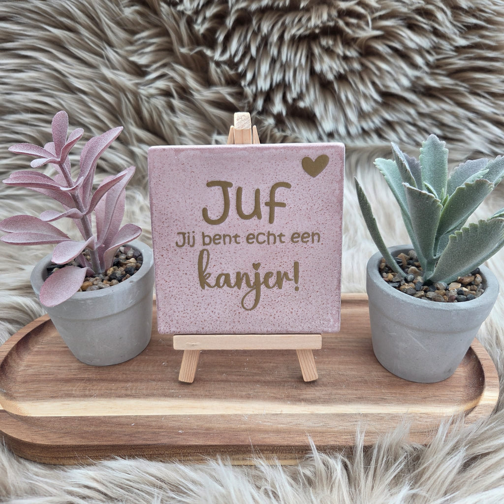 Robuust wenstegeltje:  Juf jij bent echt een kanjer!