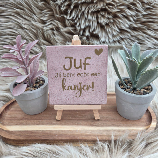 Robuust wenstegeltje:  Juf jij bent echt een kanjer!