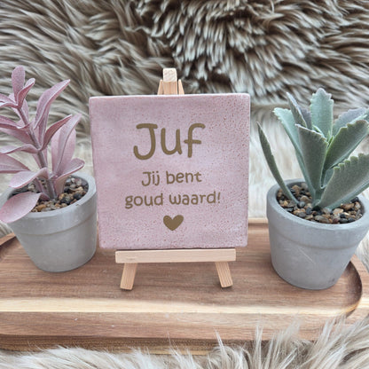 Robuust wenstegeltje:  Juf jij bent goud waard!