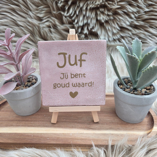 Robuust wenstegeltje:  Juf jij bent goud waard!