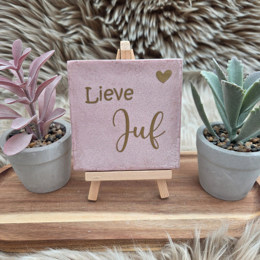 Robuust wenstegeltje:  Lieve Juf