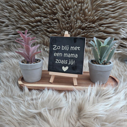 Robuust wenstegeltje:  Zo blij met een mama zoals jij!