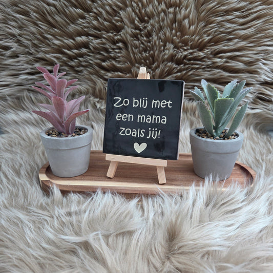 Robuust wenstegeltje:  Zo blij met een mama zoals jij!
