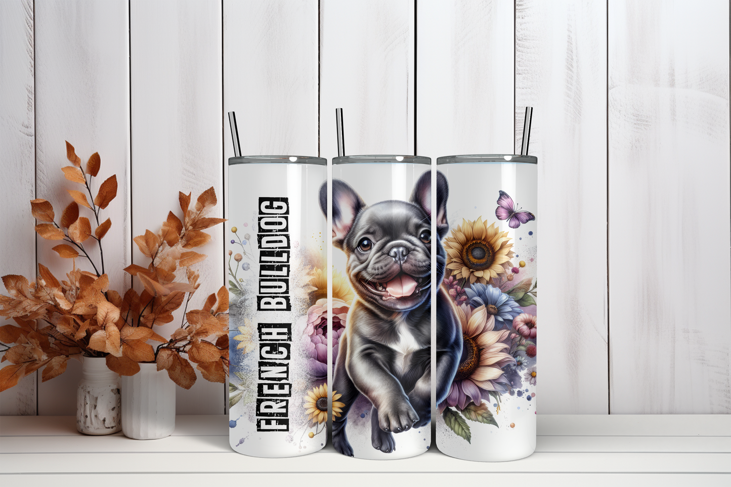 Tumbler French bulldog