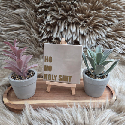 Robuust wenstegeltje:  Ho Ho Holy shit