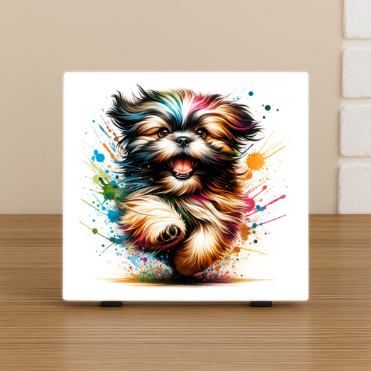 Shih Tzu