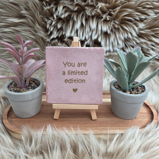 Robuust wenstegeltje: You are a limited edition